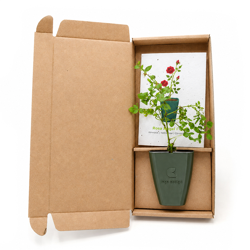 Boomgeschenk in doosje met logo